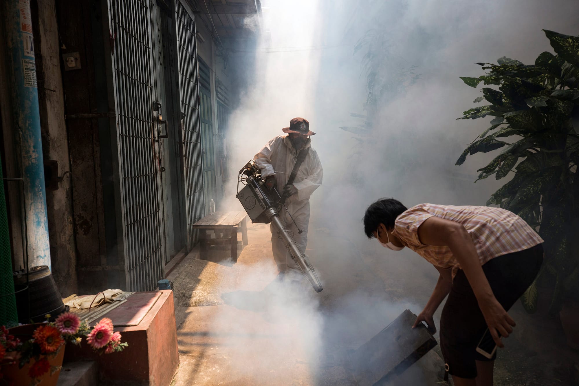 After a serious outbreak of dengue fever in the Chinatown area of Bangkok in which a man died, the Bangkok Metropolitan Administration came in to fumigate the area and advise locals on possible breeding ground of mosquitos.